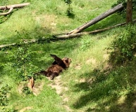 Školní výlet do ZOO Tábor