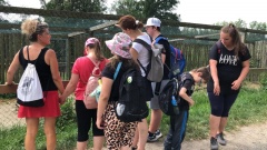 Školní výlet do ZOO Tábor