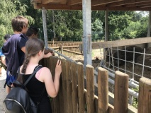 Školní výlet do ZOO Tábor