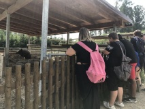 Školní výlet do ZOO Tábor