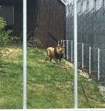 Školní výlet do ZOO Tábor