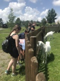 Školní výlet do ZOO Tábor